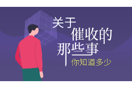 句容为什么选择专业追讨公司来处理您的债务纠纷？